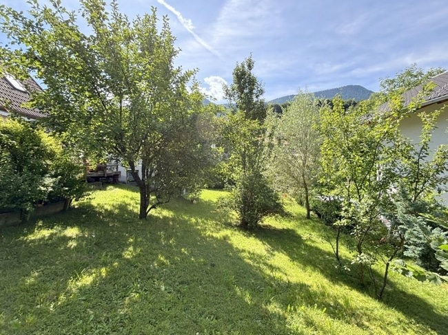 eingewachsener Garten