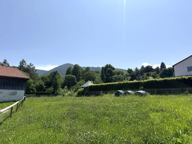 Umgebung