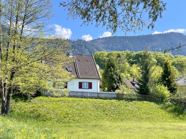 Insellage