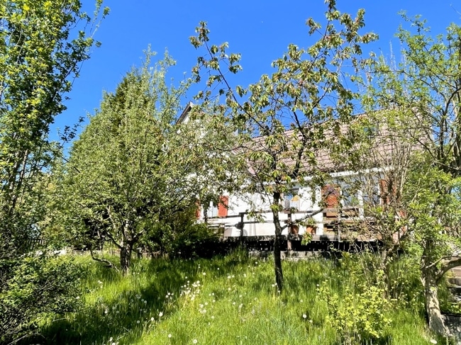 eingewachsen