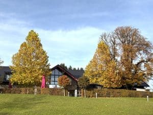 schön auf einer Anhöhe gelegen.