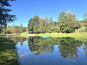 Umgebungsaufnahme  im Sommer