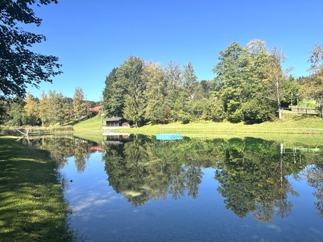 Umgebungsaufnahme  im Sommer