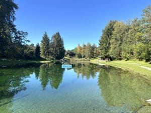 Umgebungsaufnahme im Sommer