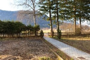 freier Blick vom Grundstück aus