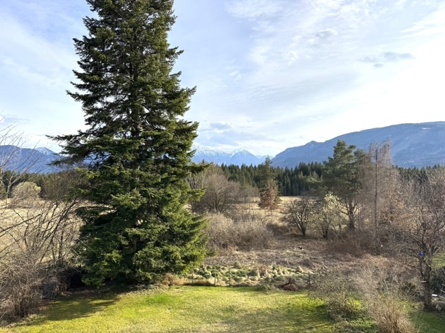 wunderbarer Bergblick