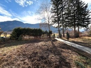 Ausblick in den Garten