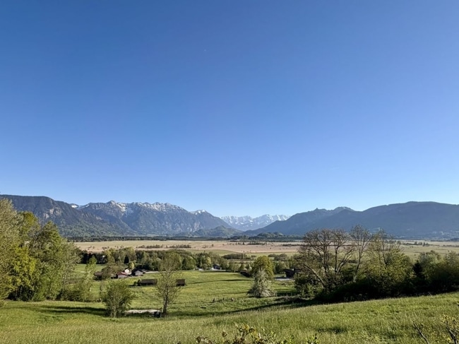 Das Moos direkt vor der Tür