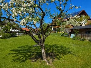 Grundstück mit viel Potenzial