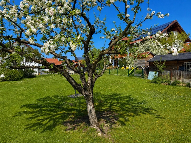 Grundstück mit viel Potenzial