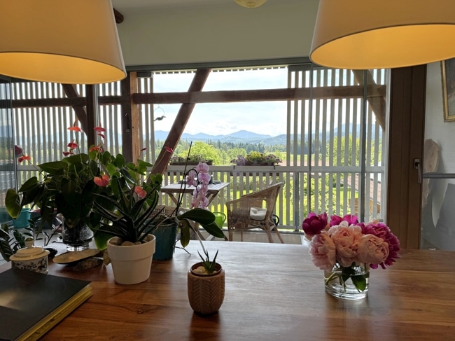 Blick ins Freie