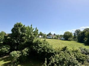 mit Weitblick