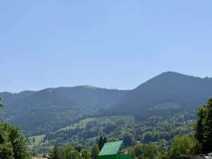 Blick