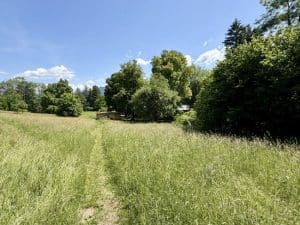Molopark direkt vor der Haustüre