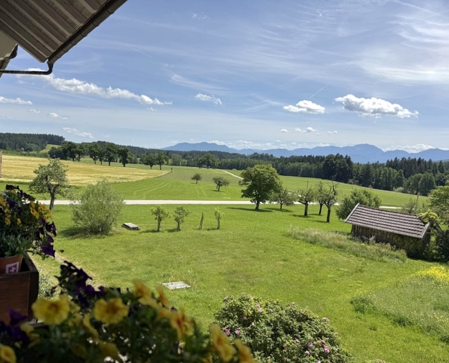 Ausblick