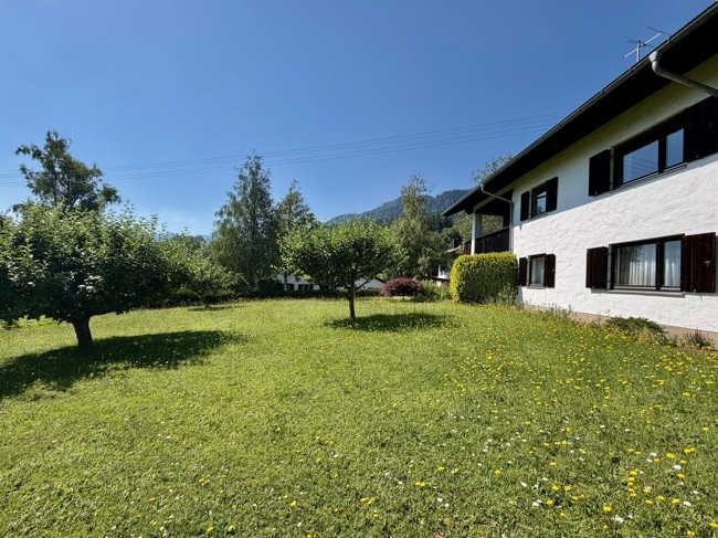 Blick auf Altbestand