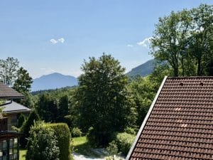 Blick
