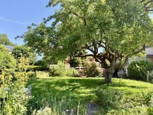 bezaubernder Garten