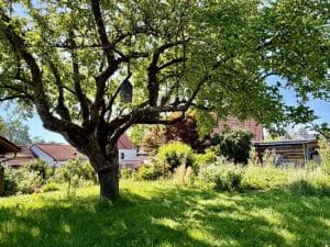 viel Platz, viel Potential
