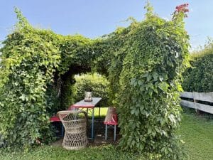 Gartenimpression