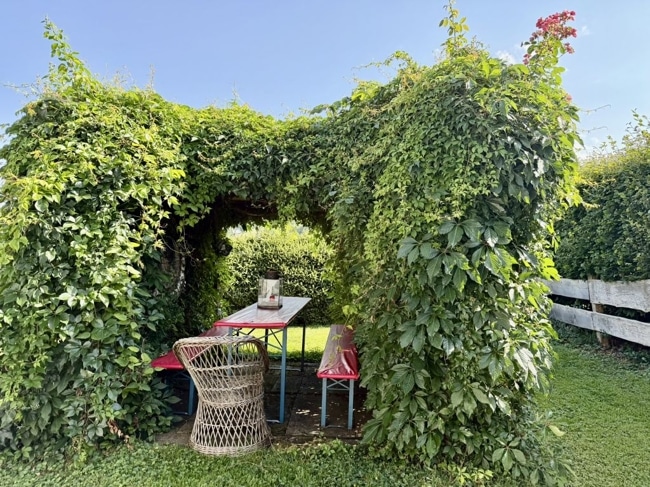 Gartenimpression