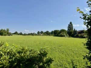 Ausblick