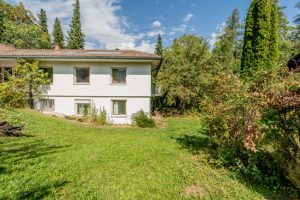 Bungalow im Grünen