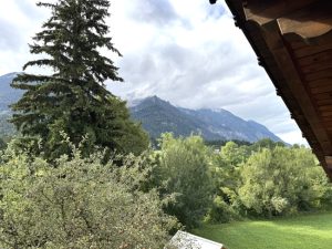 Ausblick