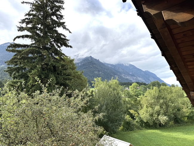 Ausblick