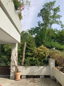 Blick ins Grüne
