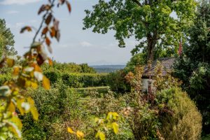 toller, eingewachsener Garten