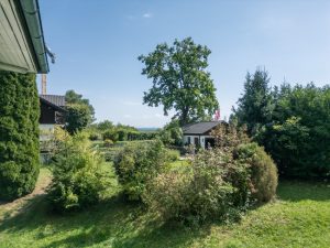 Ausblick aus derzeitigem Wohnzimmer