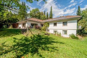 derzeitiger Altbestand