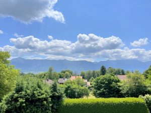 Blick