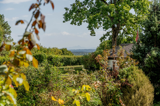 eingewachsener Garten für viel Privatsphäre