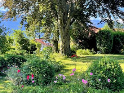 Murnau - Parkgrundstück für Ihr Traumhaus
